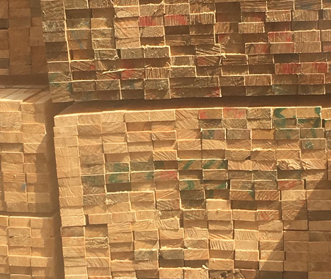 平凉新西兰进口松木