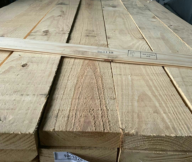 平凉阿根廷松木